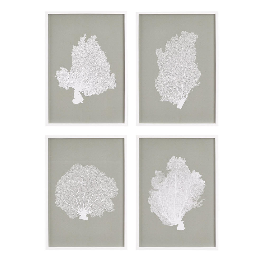 Four Coral Fan Prints