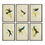 Thumbnail: Set of 6 Hummingbird Prints