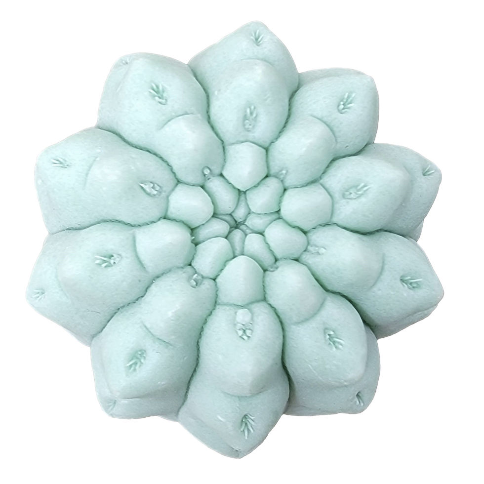 Thumbnail: Wall Succulent and Cactus - Luxe Wall Bauble