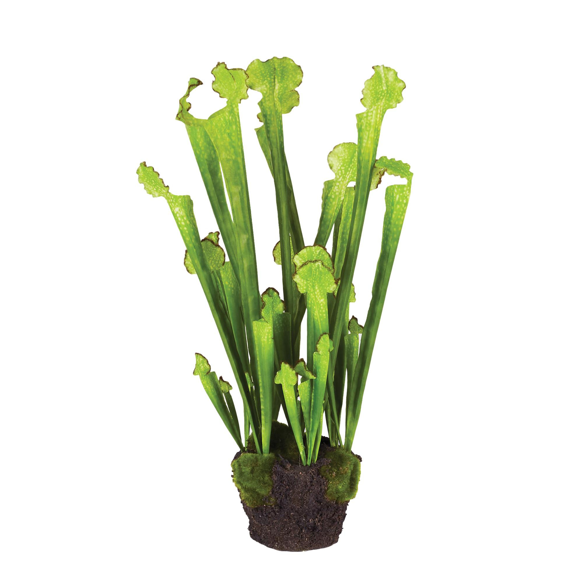 Pitcher Plant Faux Plant Drop In