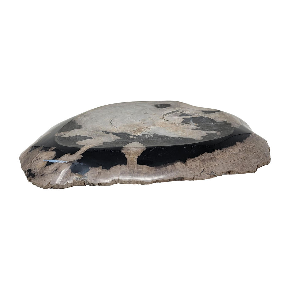 Thumbnail: Petrified Wood Tray