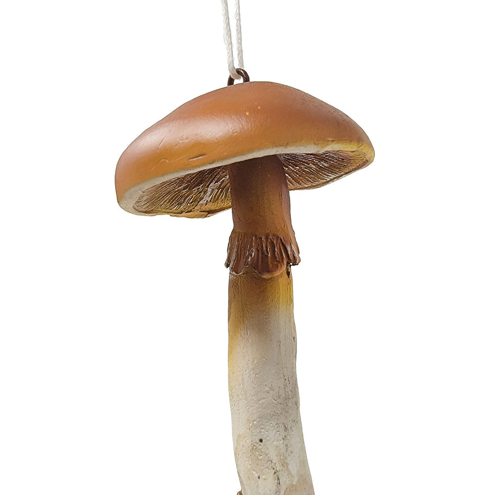 Thumbnail: Four Wild Mushroom Ornaments