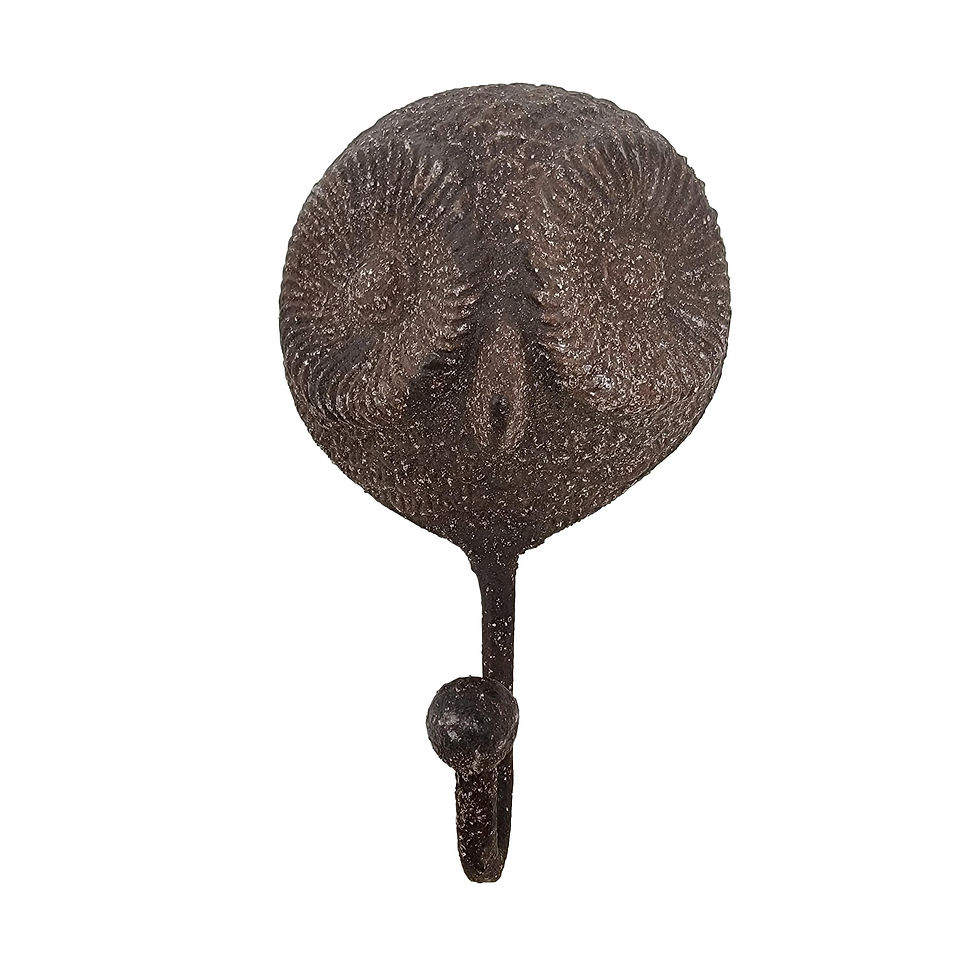 Thumbnail: Owl Face Wall Hook