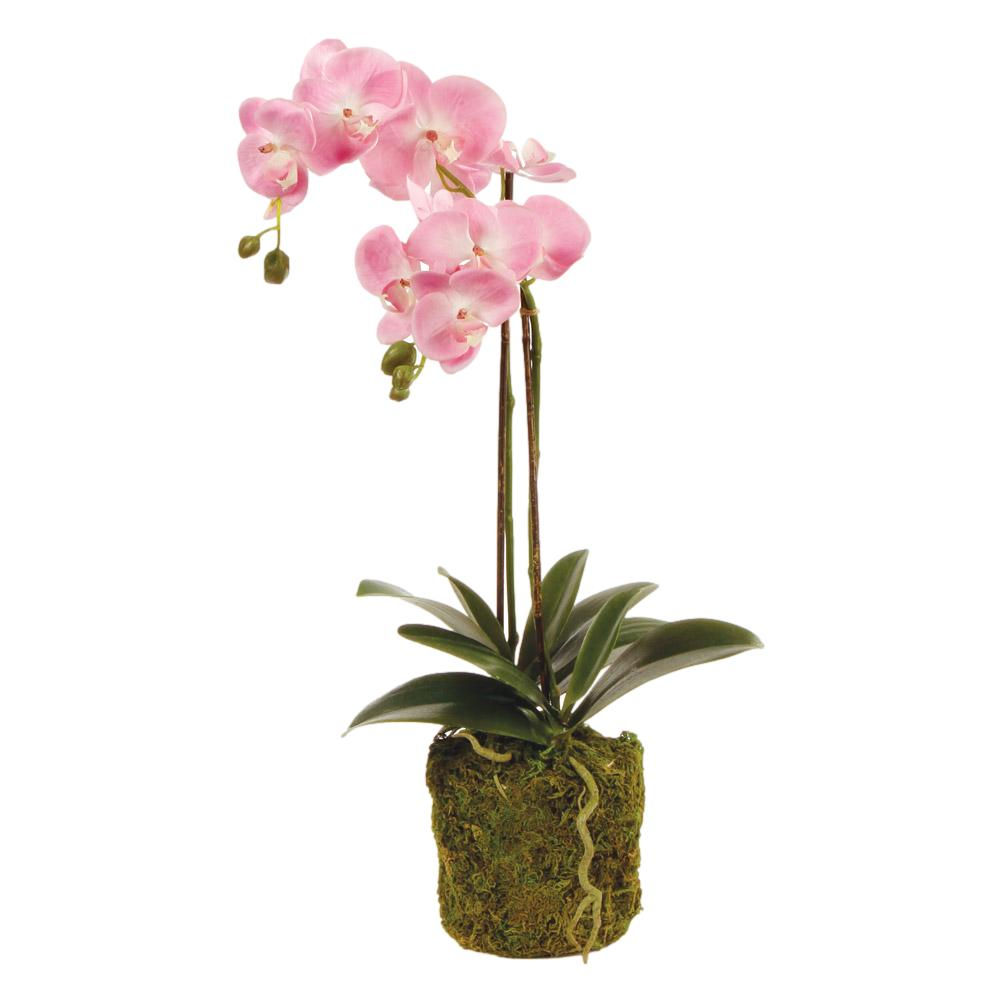 Double Pink Phalaenopsis Orchid Faux Floral Drop In