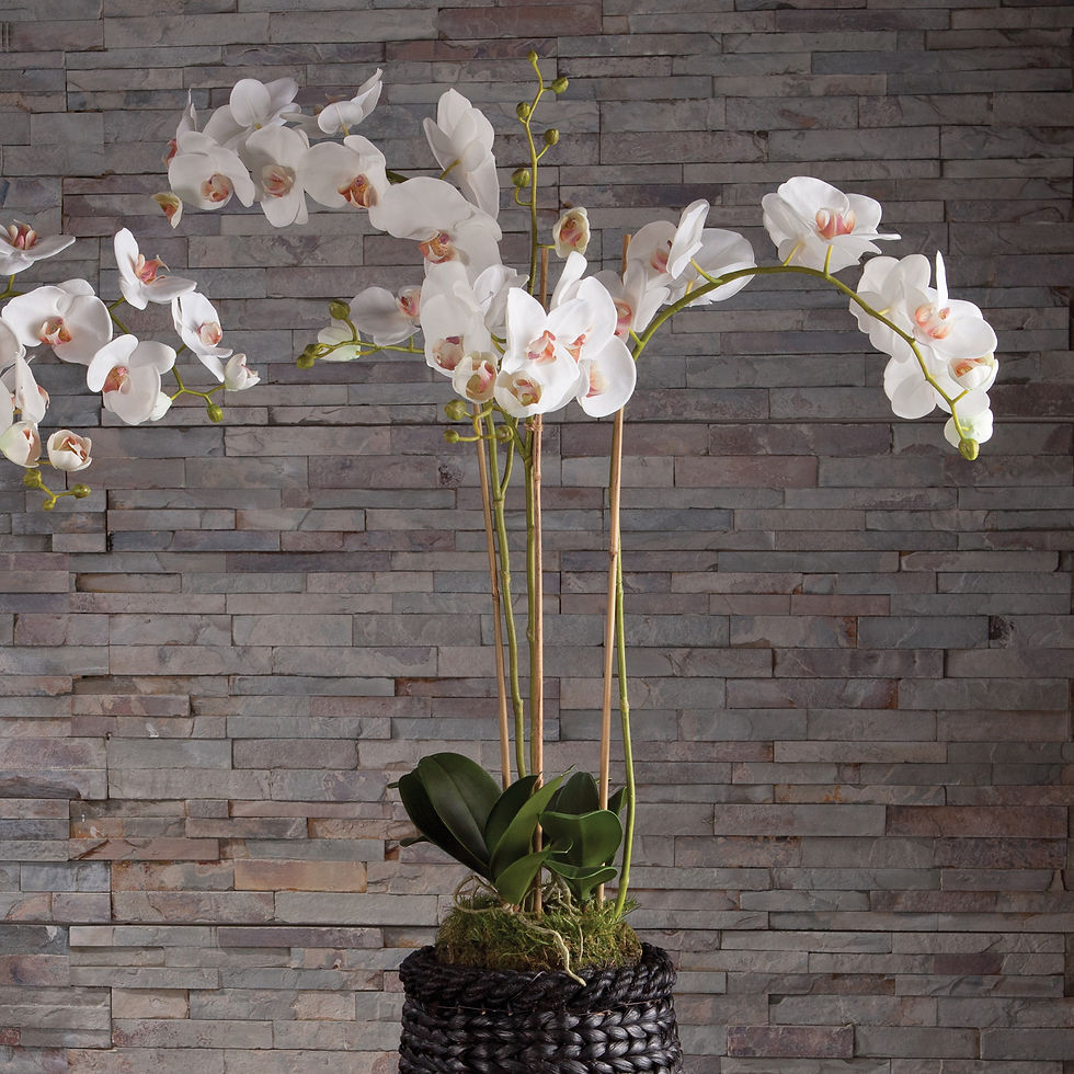 Thumbnail: Double Stem White Phalaenopsis Faux Floral Drop In