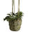 Thumbnail: 44" White Phalaenopsis Orchid Faux Floral Drop In