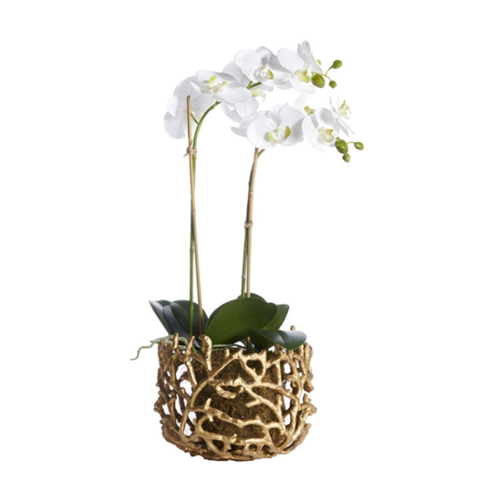 Thumbnail: Double White Phalaenopsis Orchid Faux Floral Drop In