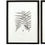 Thumbnail: Six Monochromatic Fern Prints