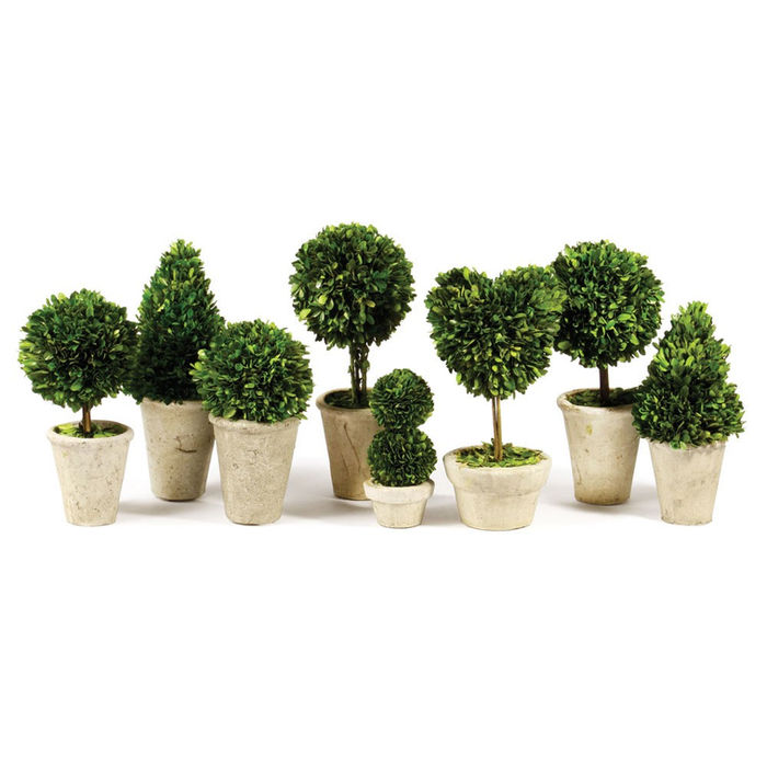Thumbnail: Eight Mini English Topiaries
