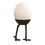 Thumbnail: Walking Ostrich Egg on Legs