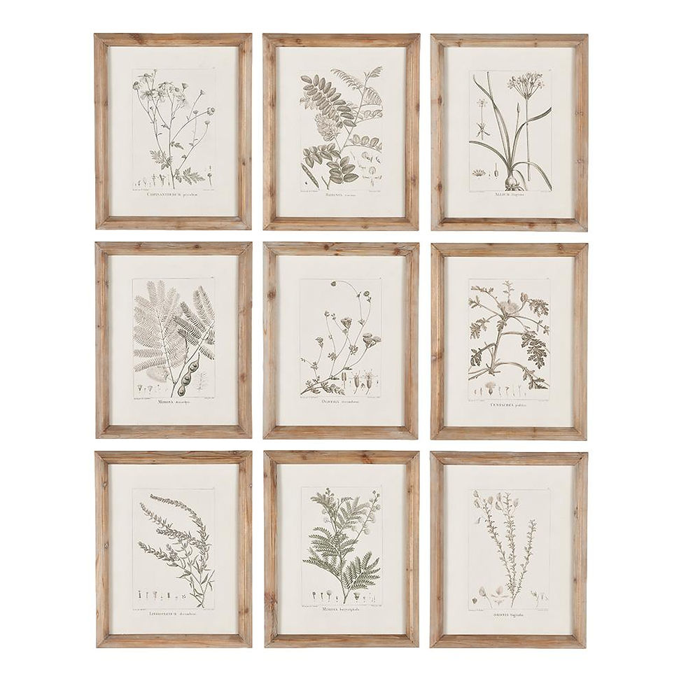 Nine Sepia Woodland Botanical Prints