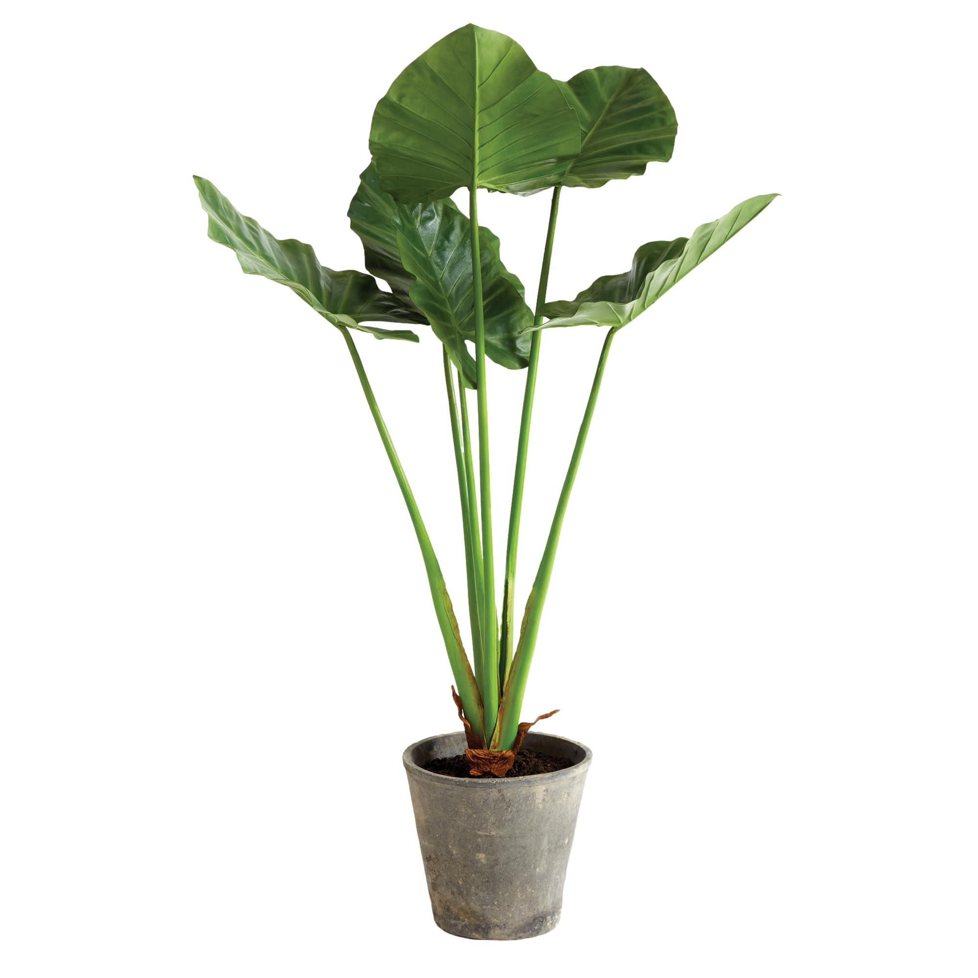 Large Elephant's Ear Faux Plant