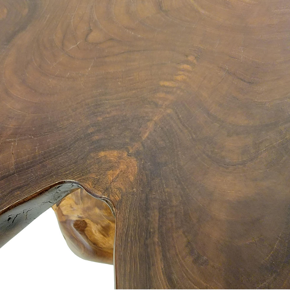Thumbnail: Live Edge Teak Tree Trunk Table