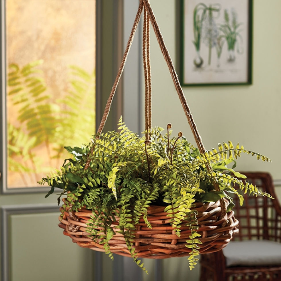 Thumbnail: Classic Round Rattan Hanging Basket