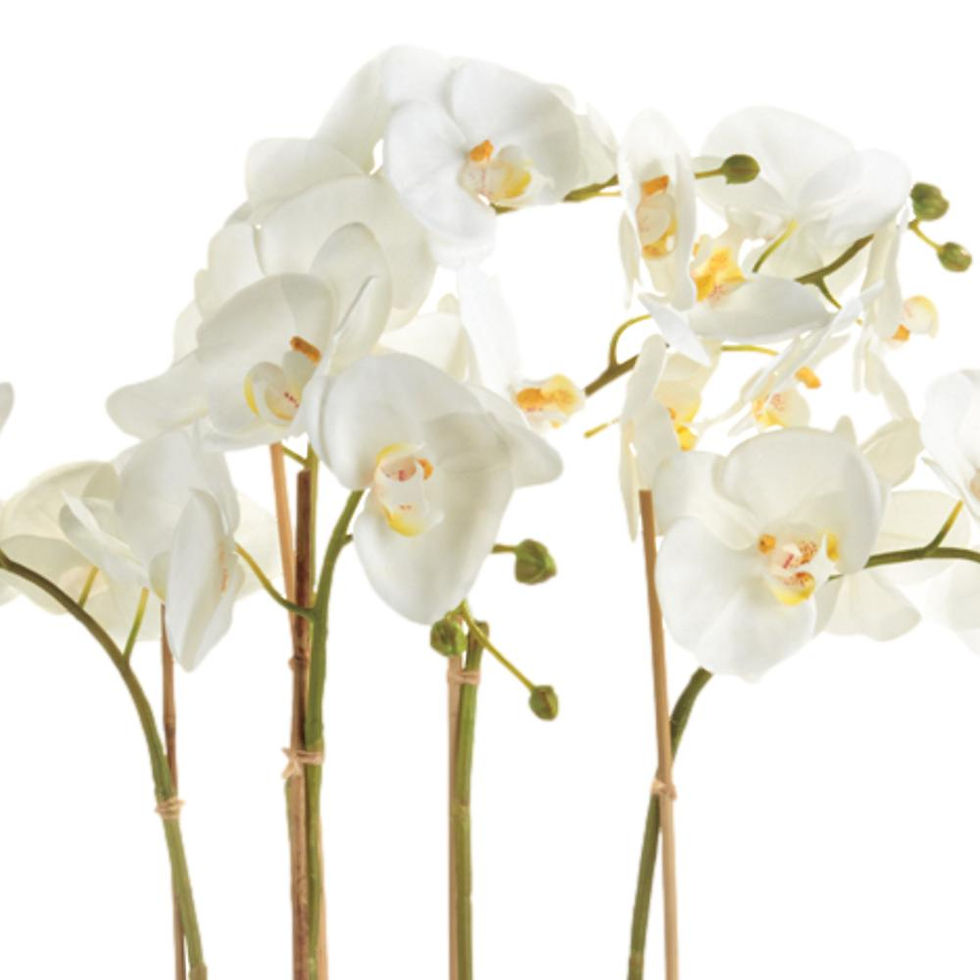 Thumbnail: 25" White Phalaenopsis Orchid Faux Floral Drop In