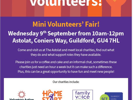 Mini Volunteers’ Fair
