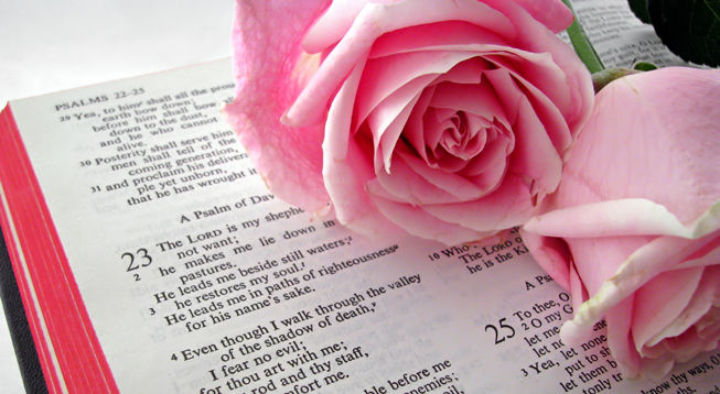 Rooted in His word, blooming in His grace. 🌸📖"