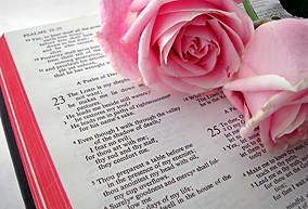 Bible Text