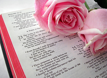 Bible Text