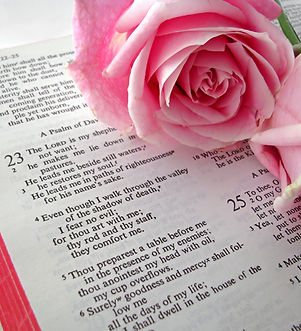 Bible Text