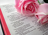 Bible Text