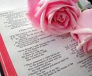Bible Text