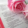 Bible Text
