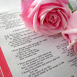 Bible Text