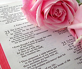 Bible Text