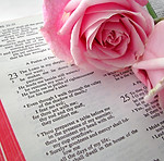 Bible Text