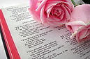 Bible Text