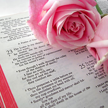 Rosas rosas en la Biblia
