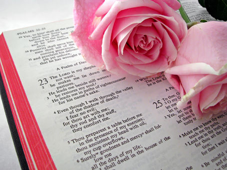 Sunday Scripture: Proverbs