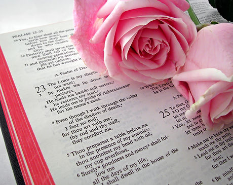 Bible Text