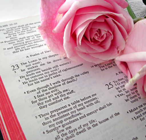 March 29th, 2023- First Quarter Cancer