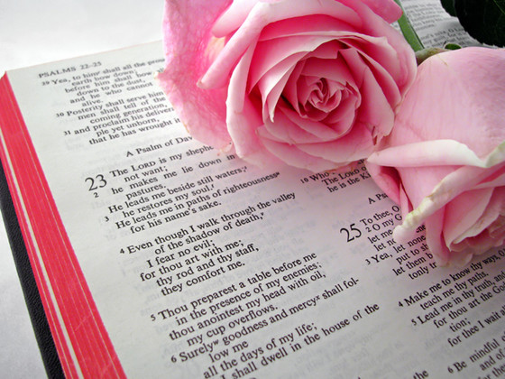 Psalm 119 Implications