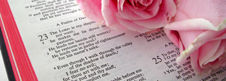 A bible opened to Psalm 23 with pink roses placed to the right of the page.