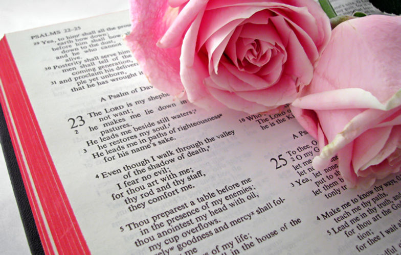 Bible Text