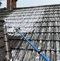 Roof-cleaning-image-540x540.jpg