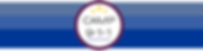 Copy of Camp 9-1-1 Header (1).png
