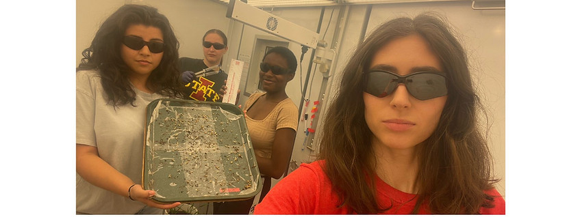 Summer's figures 1.jpg