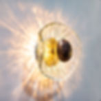 Thumbnail: Iris