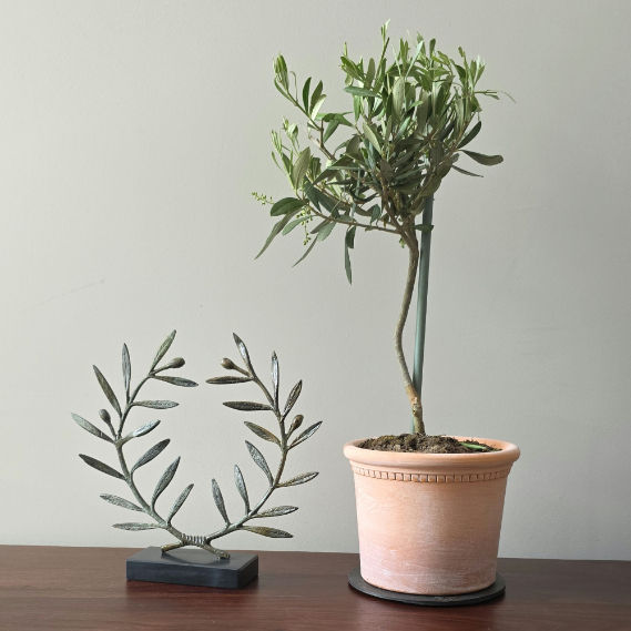 bronze olive wreath symbol of achievement