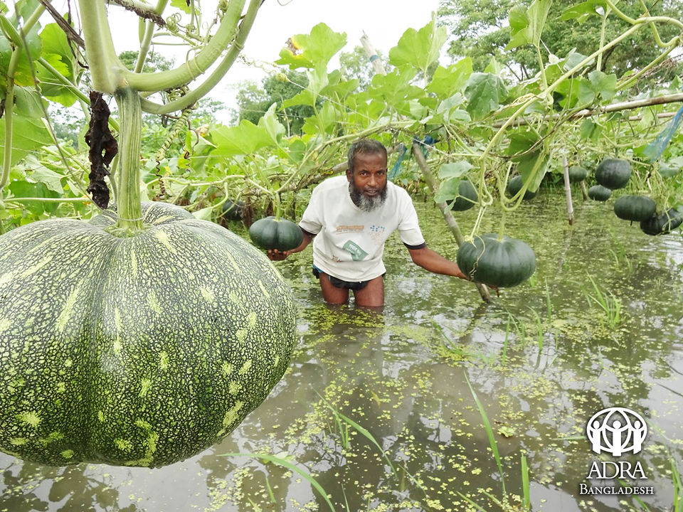 Abdullah in his garden