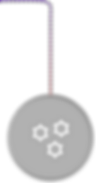 Group 1171274981.png