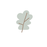 foglia verde