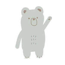 teddy verde