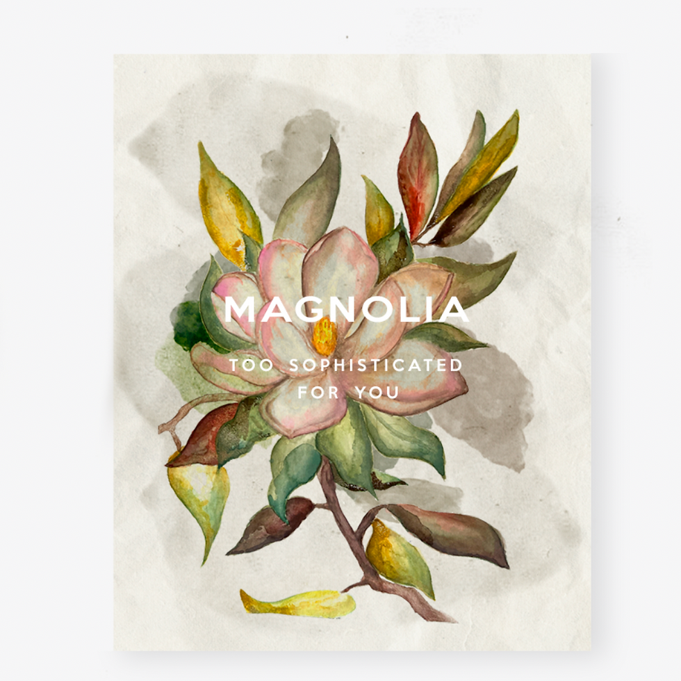 MAGNOLIA SPECS