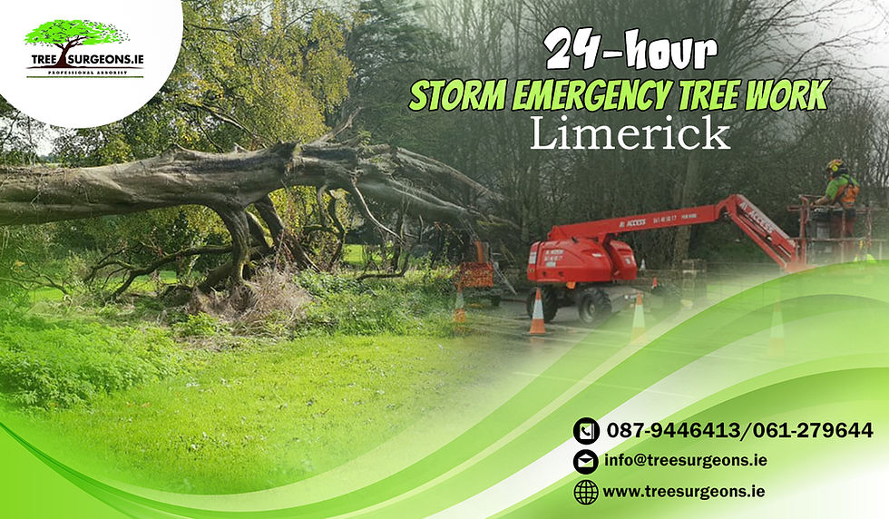 24-hour Storm Emergency Tree Work Limerick