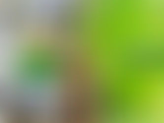 Tree Removal Professionals: Safeguarding Your Home and Yard